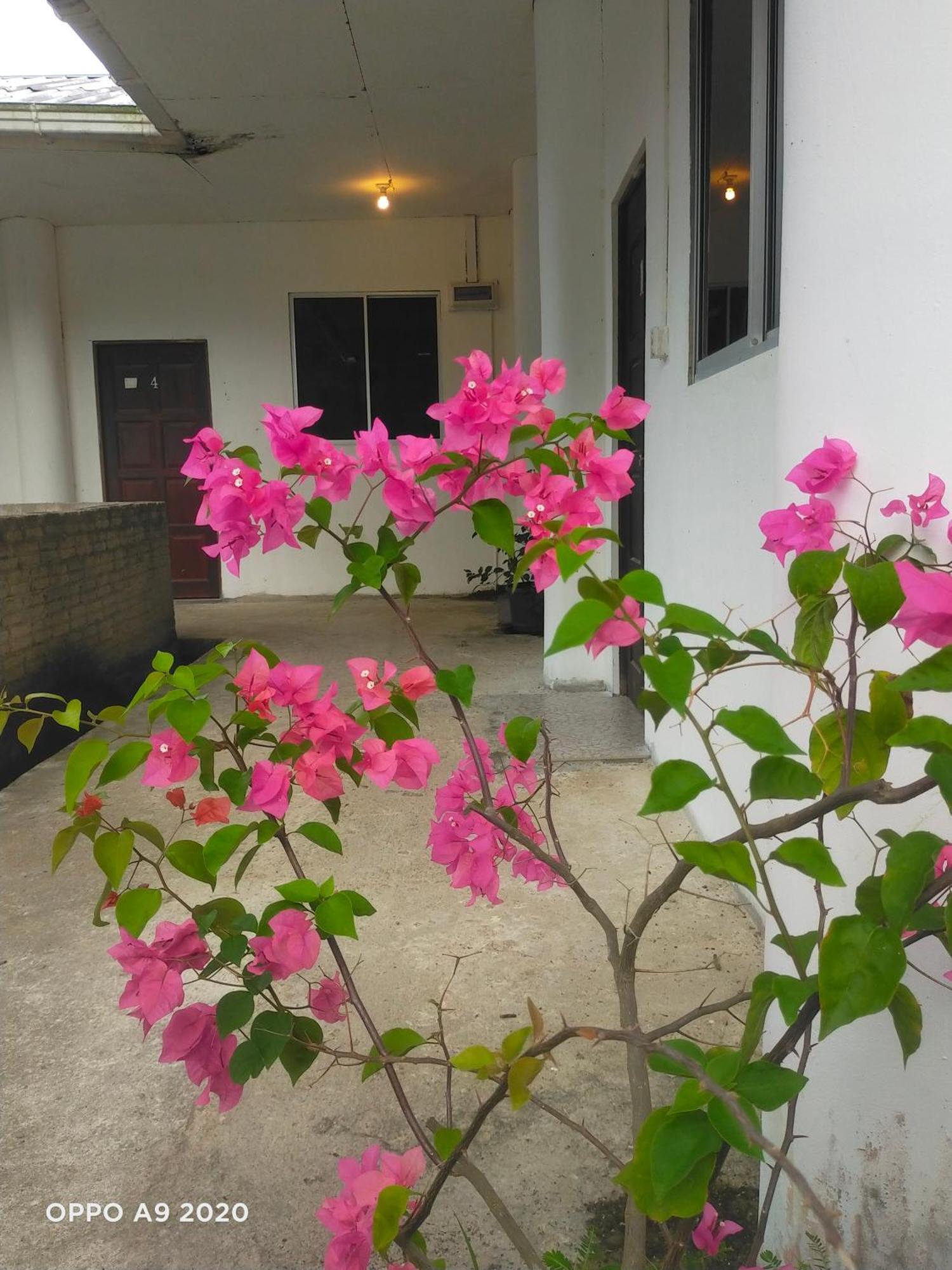Sukau Tomanggong View Bed & Breakfast Exteriör bild