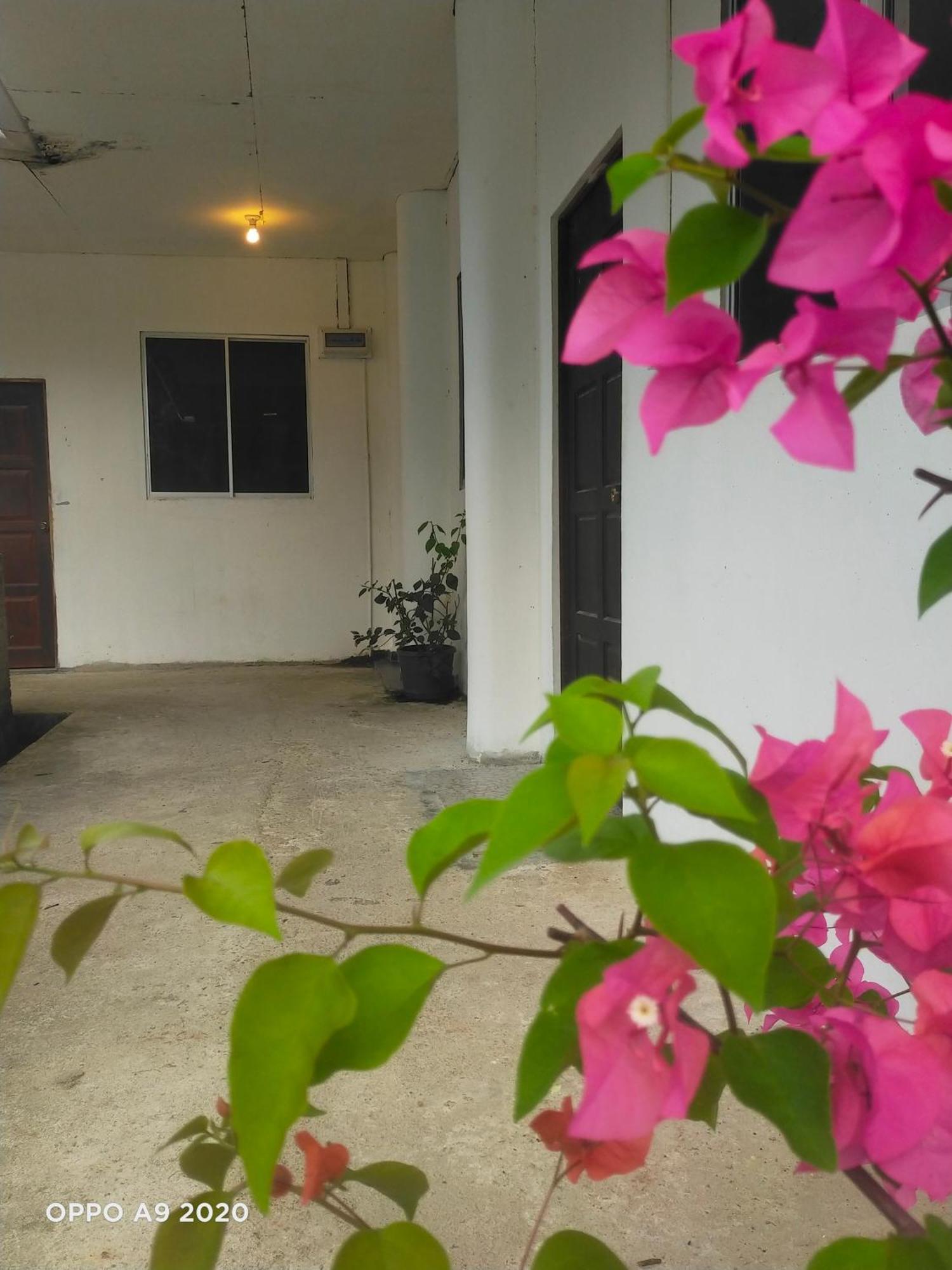Sukau Tomanggong View Bed & Breakfast Exteriör bild