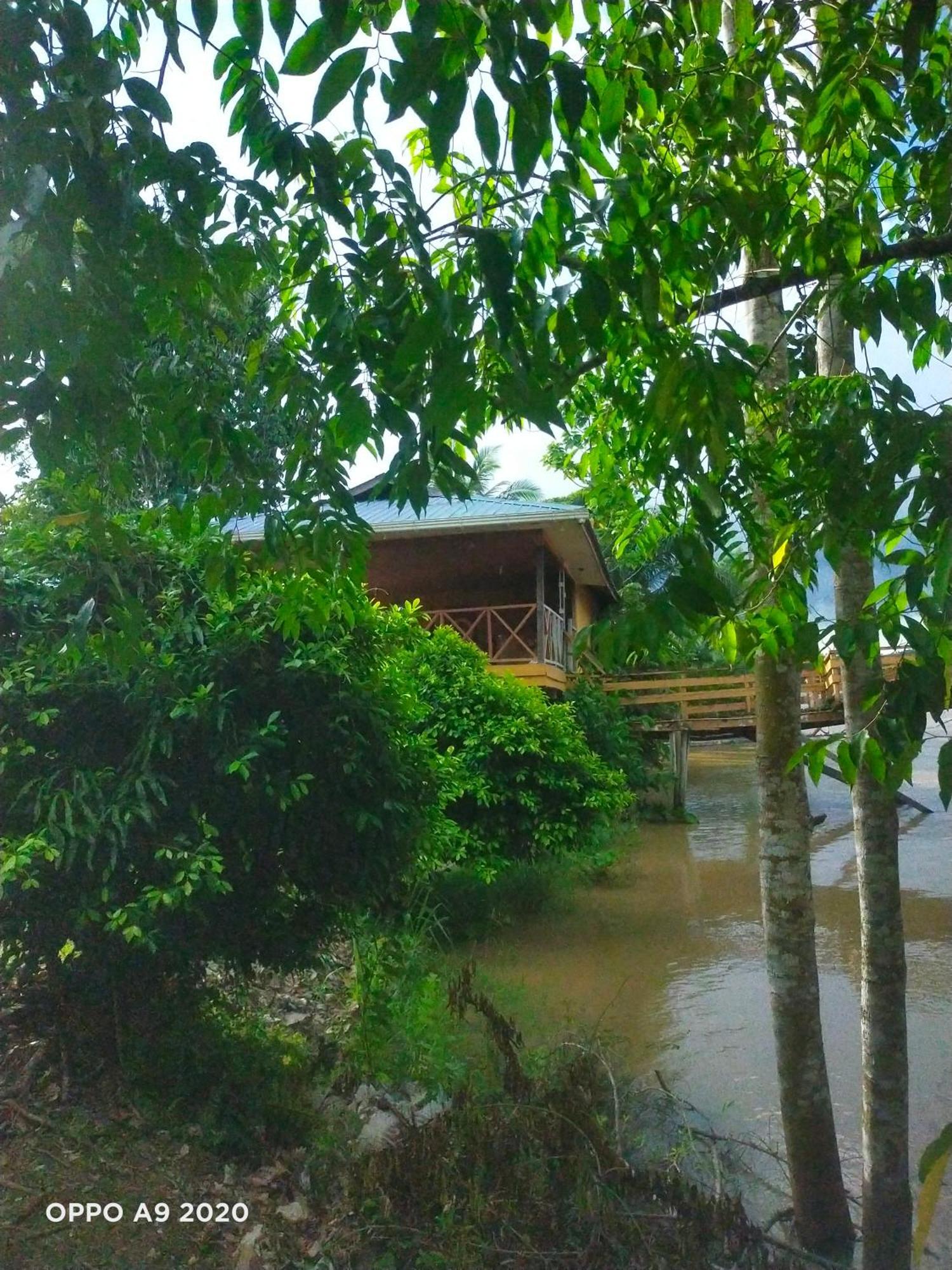 Sukau Tomanggong View Bed & Breakfast Exteriör bild
